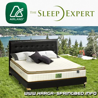 Airland 505 Essentials