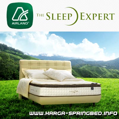 kasur airland allegro air