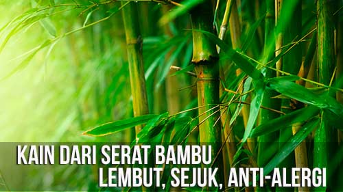 Bamboo2-WEB